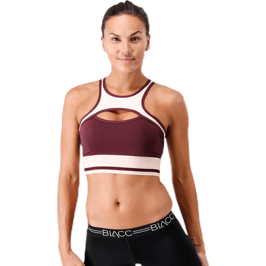 Hop Sports Bra  Purple/Pink/White - Image 3