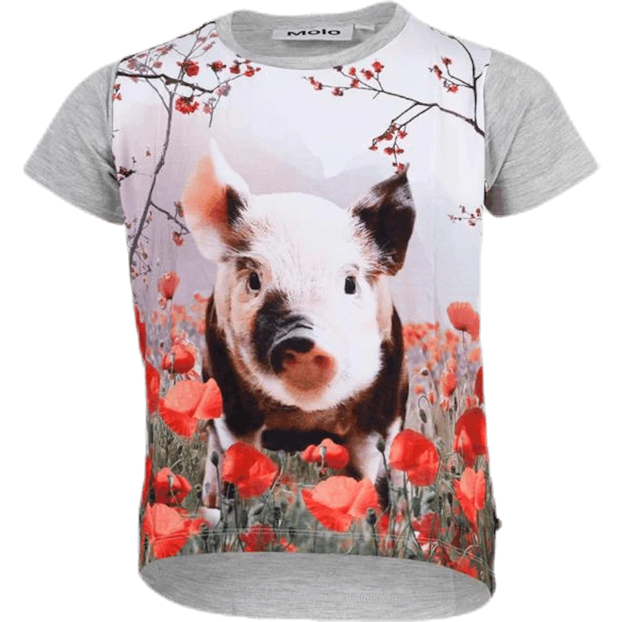 Risha Piglet Grey