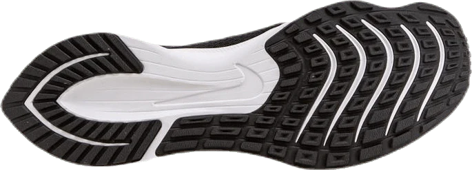Zoom Rival Fly White/Black - Image 4