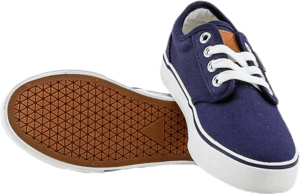 Boston Junior Blue - Image 6