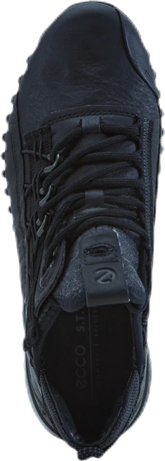 Zipflex Low Dyn Black - Image 7
