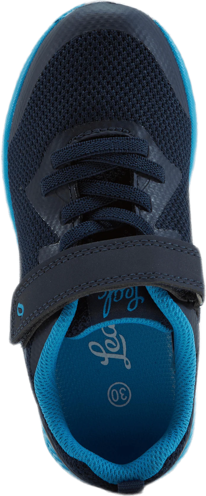 Kolima Elastic Blue - Image 5