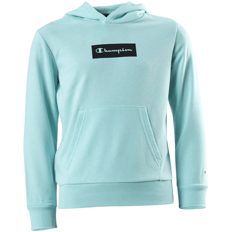 Pastel Hooded Sweatshirt Junior Turquoise