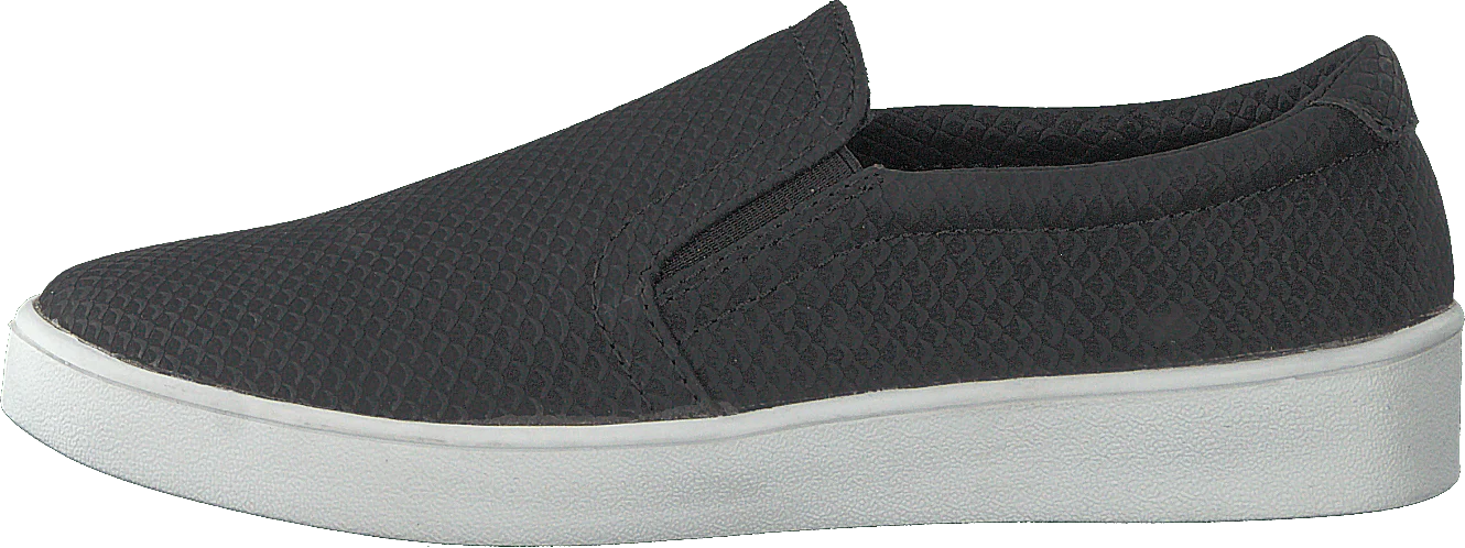 73-41254 Black