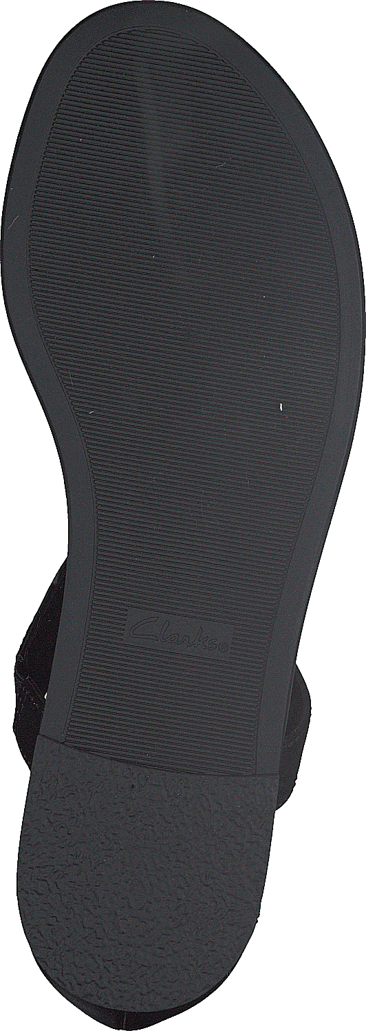 Bay Poppy Black Interest - Image 7