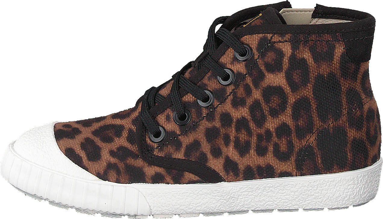 Cyrus Geo K Brown Cocmbi