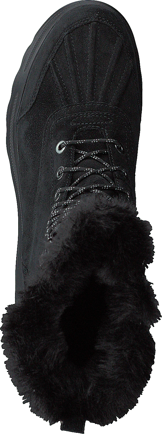 D Hosmos B Abx Black - Image 6