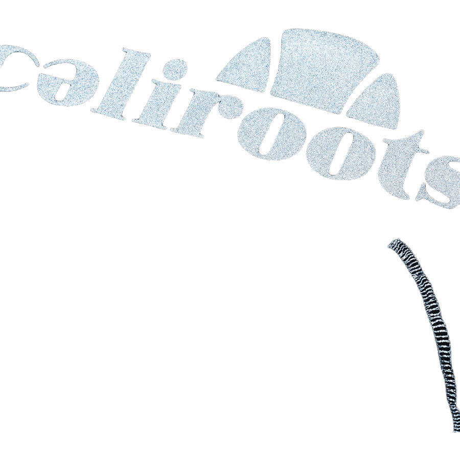 X Caliroots Giallo Crewneck Black - Image 6