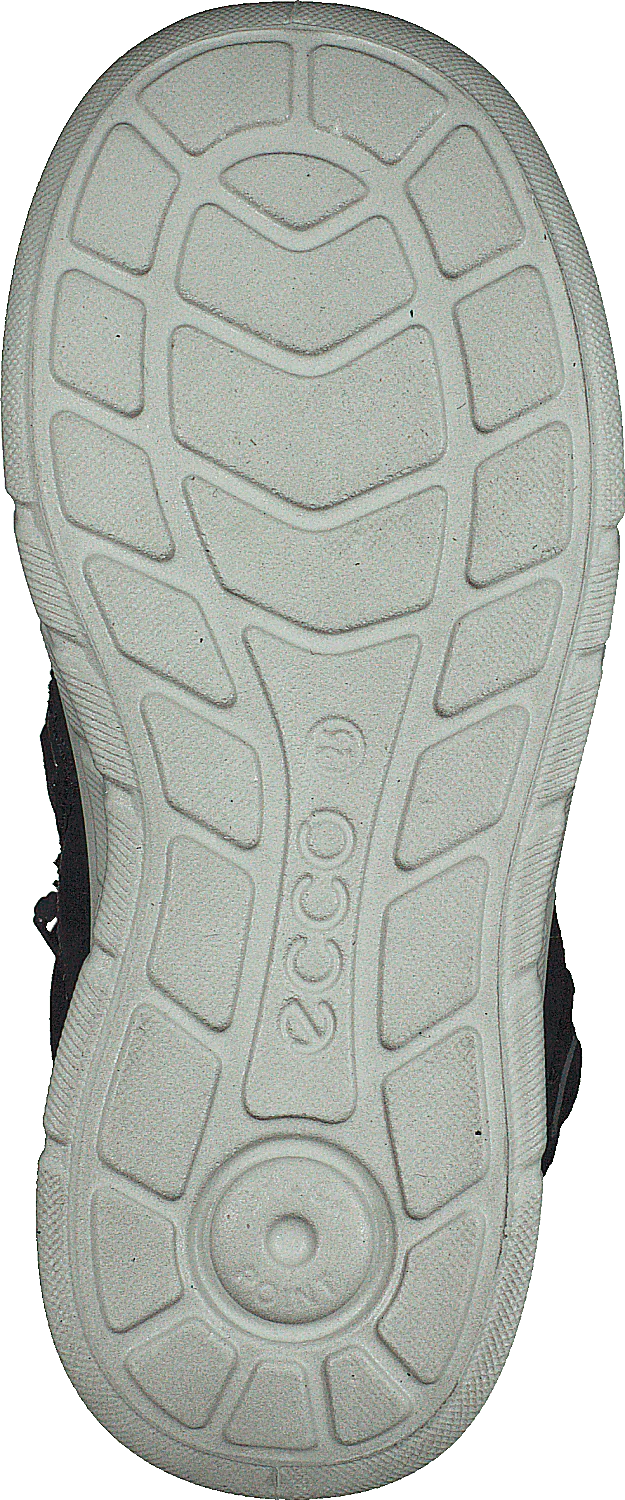 First Navy - Image 7