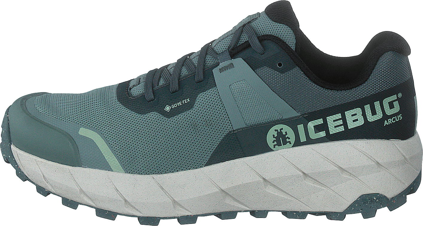 Arcus W Rb9x Gtx Green/stone