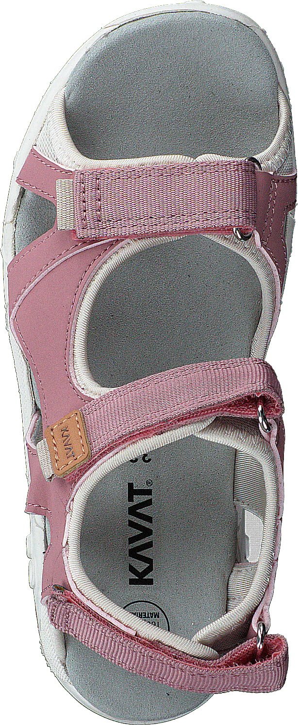 Rio Tx Ash Rose - Image 6