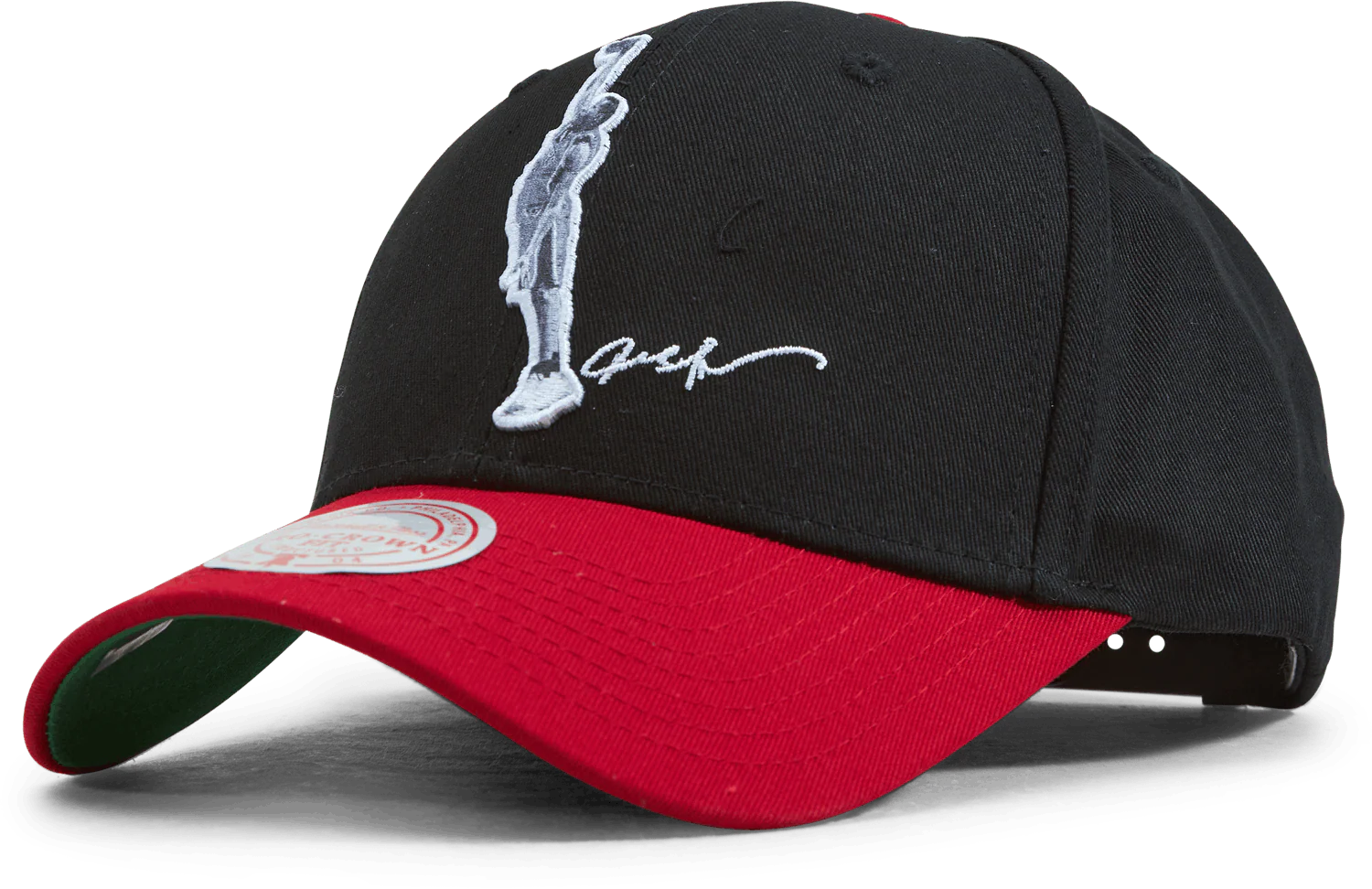 76ers Highlight Real Snapback Allen Iverson