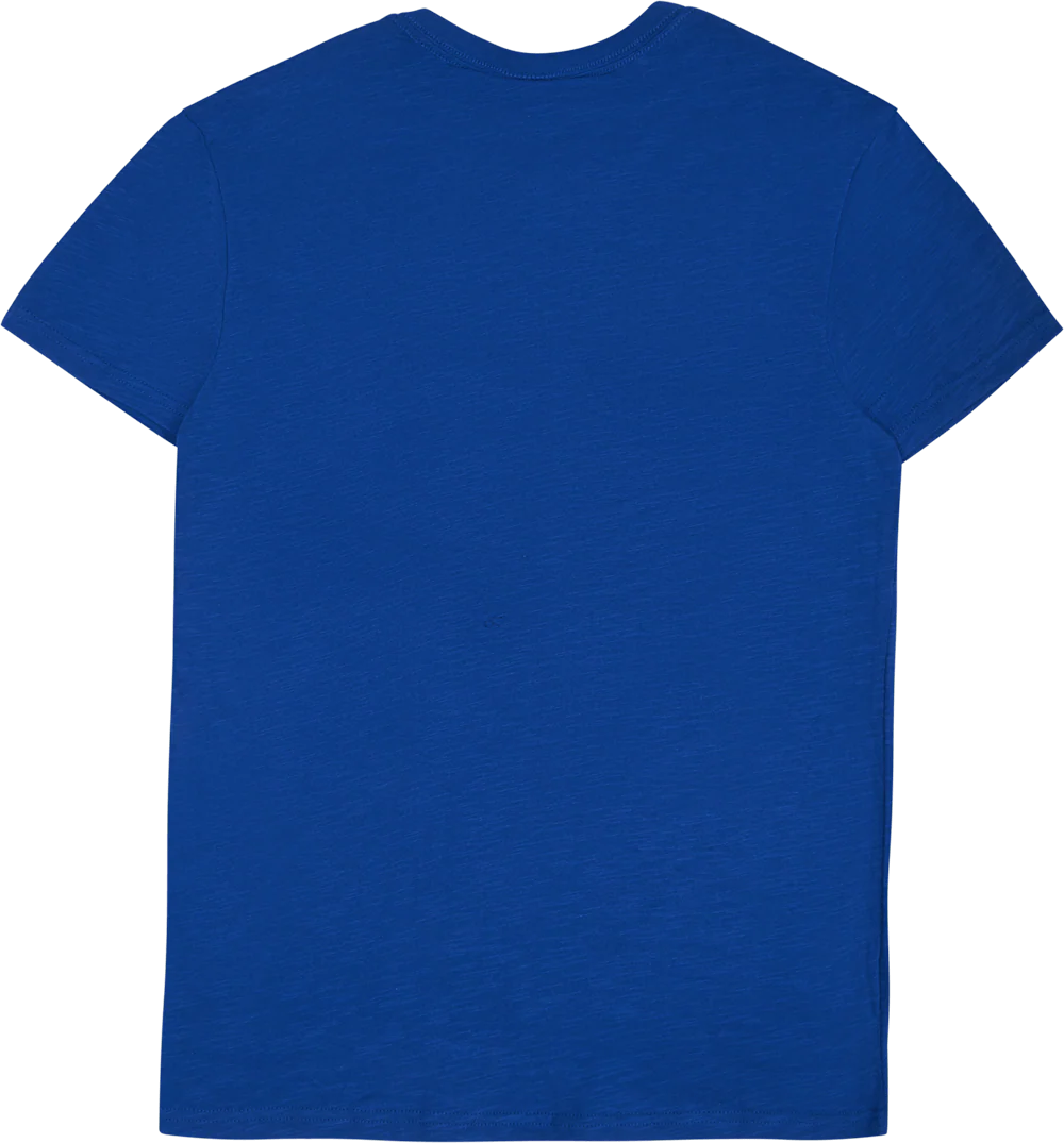 Gators Legendary Slub Ss Tee - Image 2