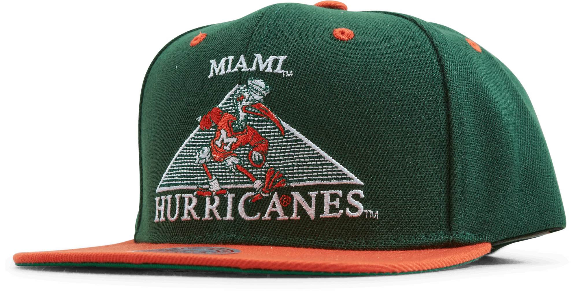 Monument Snapback