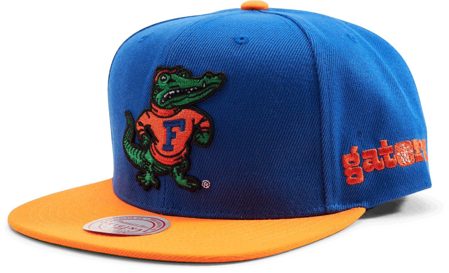 Gators Team Origins Snapback