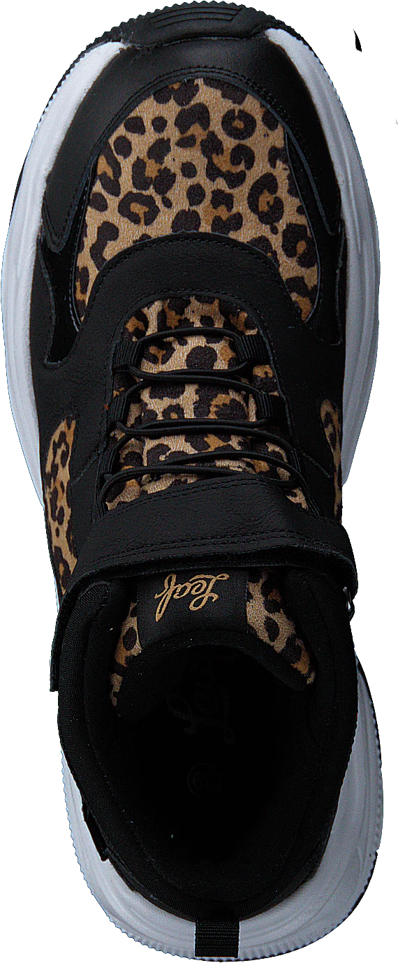 Narken Leopard - Image 6