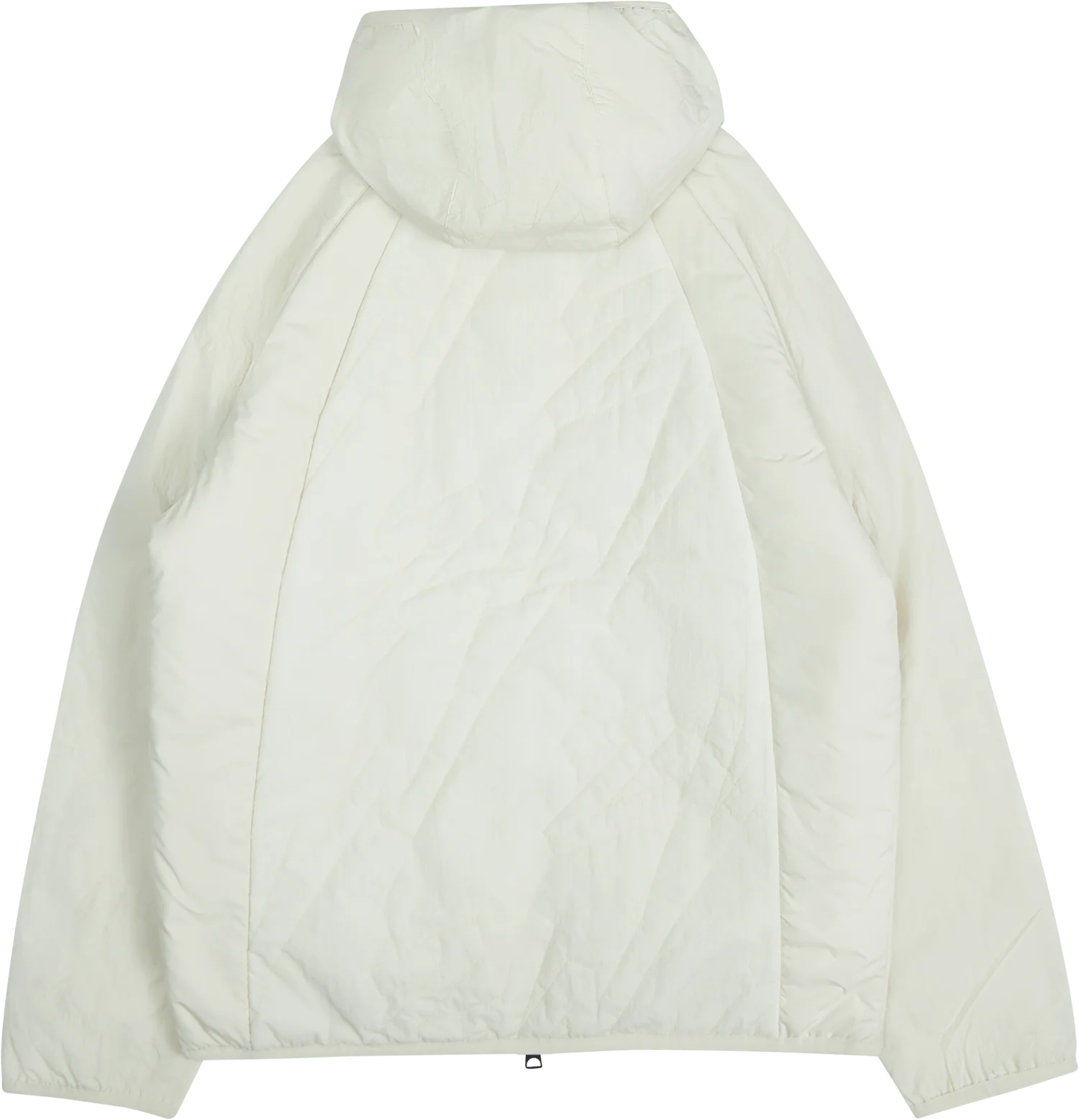 Zion Jacket Fossil - Image 2
