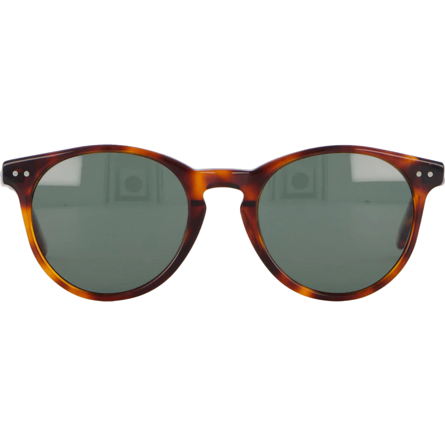Paris Tortoise Classic - Image 5