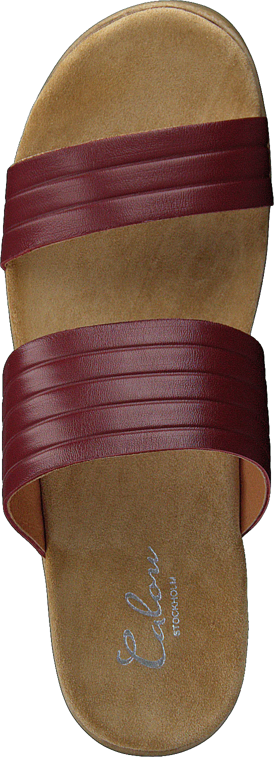 Randi Winered - Image 6