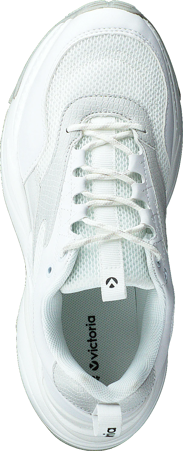 Rejilla Monocro Bianco - Image 6