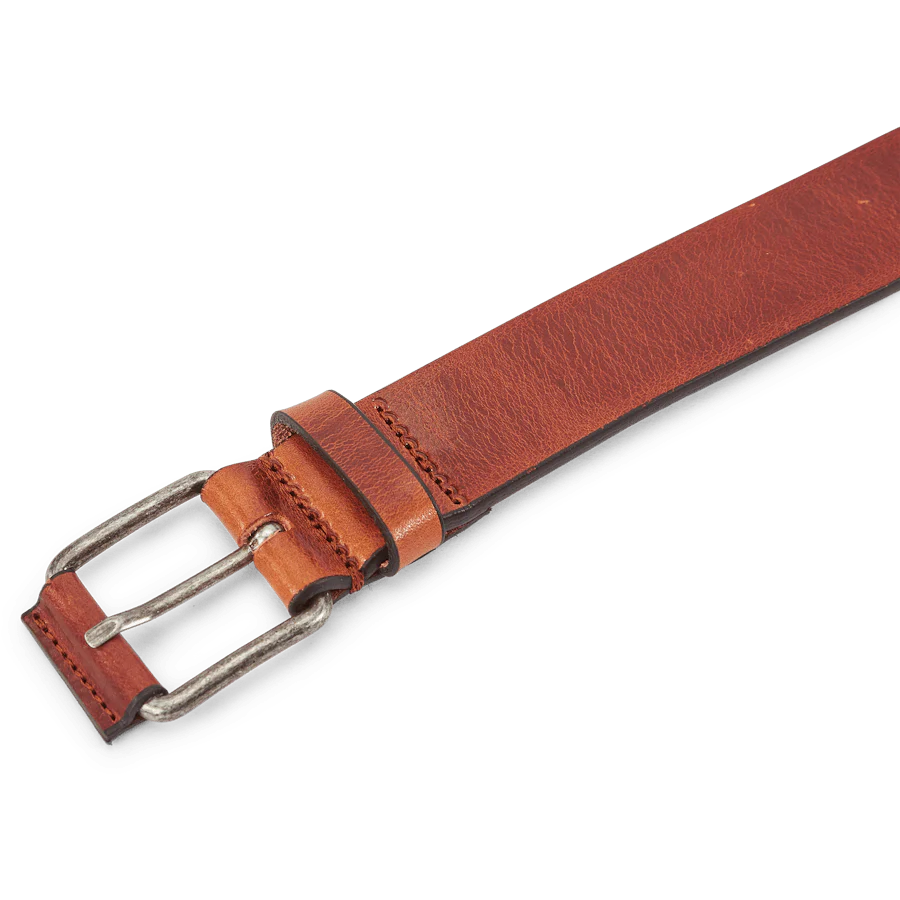 Arion - Image 2