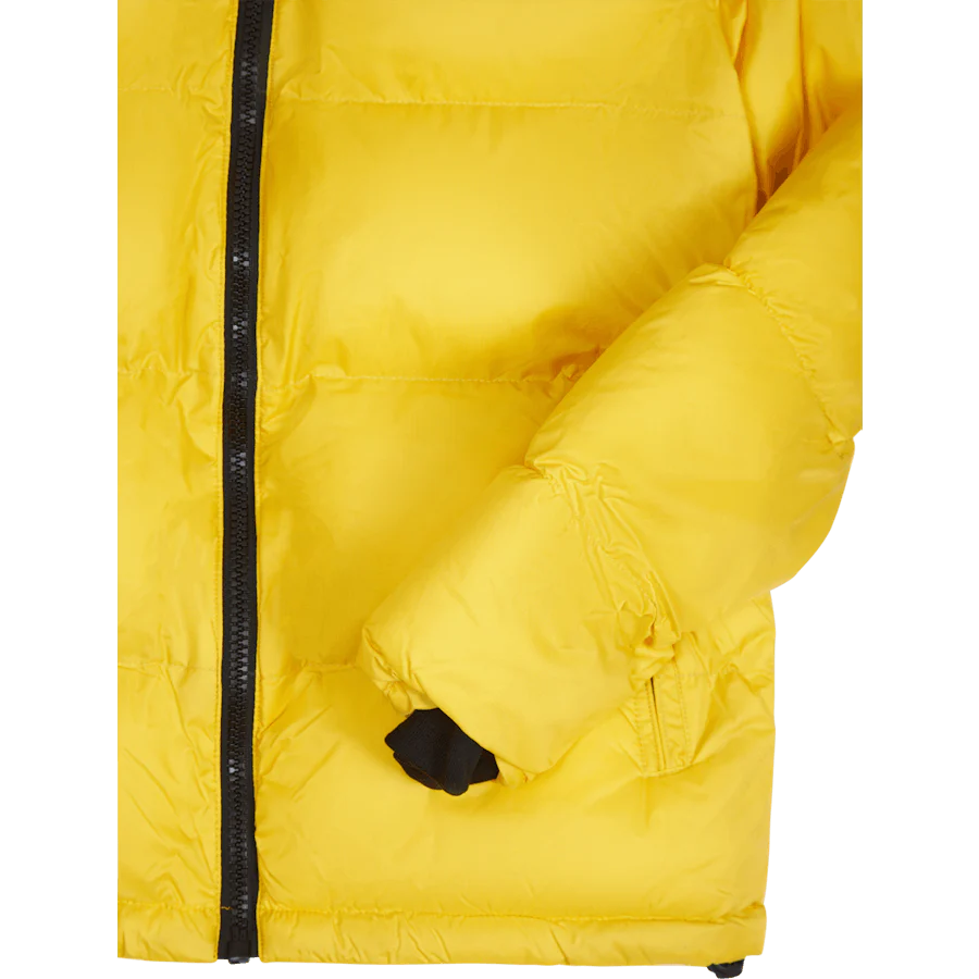 Utah Yellow - Image 4