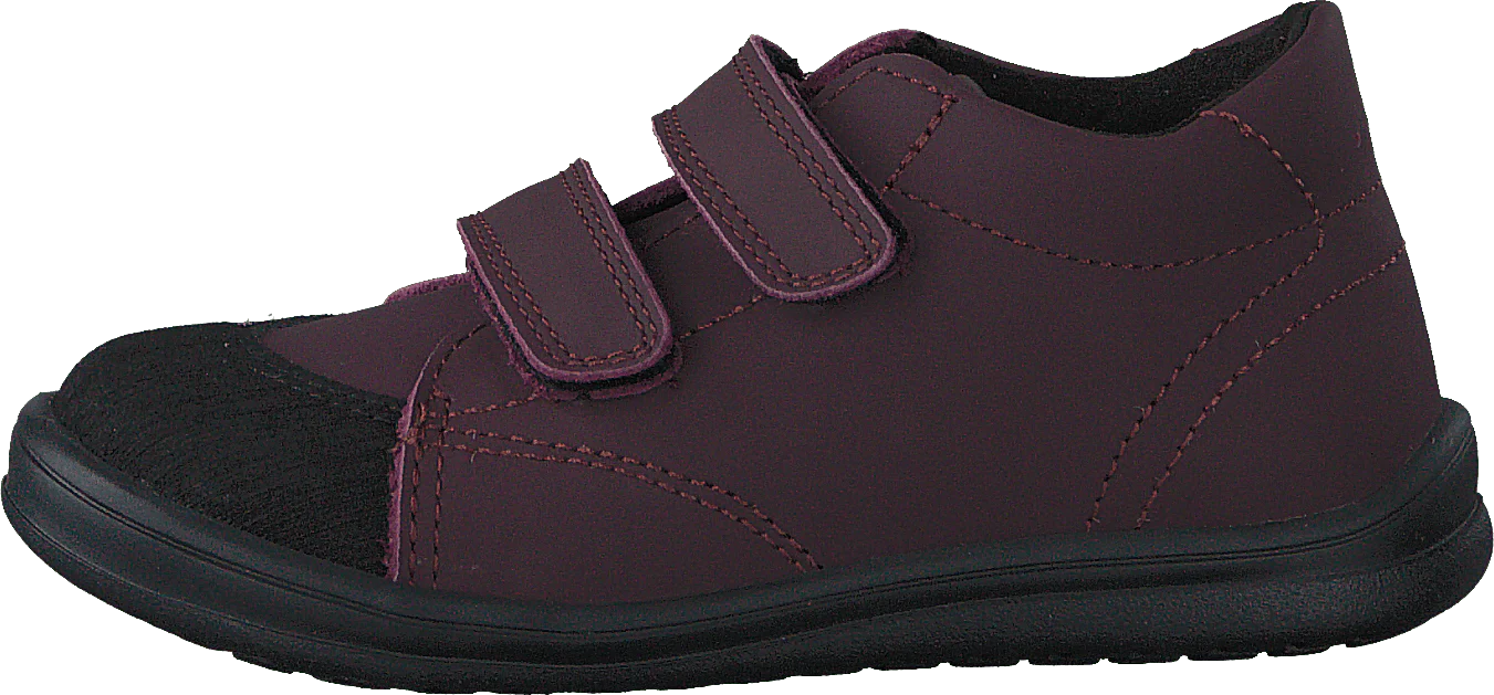 Stocksbo Xc Damson Plum