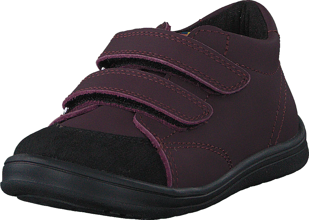 Stocksbo Xc Damson Plum - Image 3