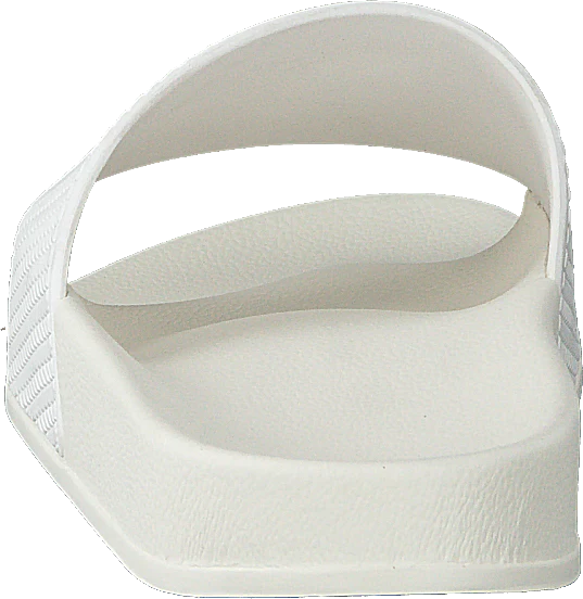 Thomson White - Image 5