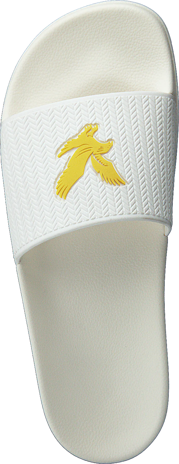 Thomson White - Image 6