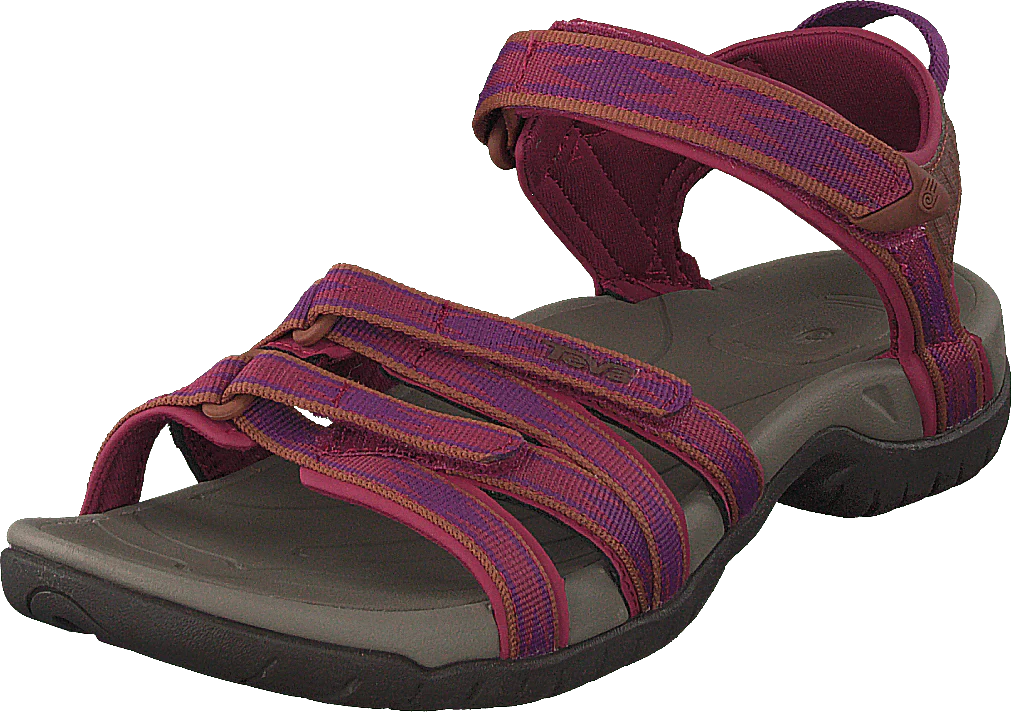 Tirra Halcon Gloxinia - Image 3