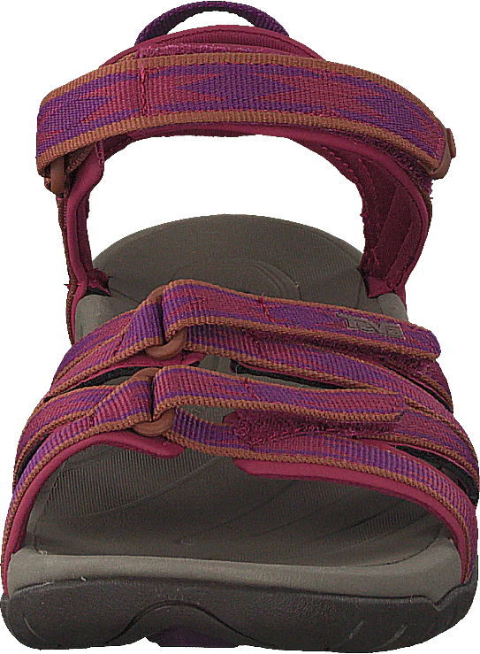 Tirra Halcon Gloxinia - Image 4