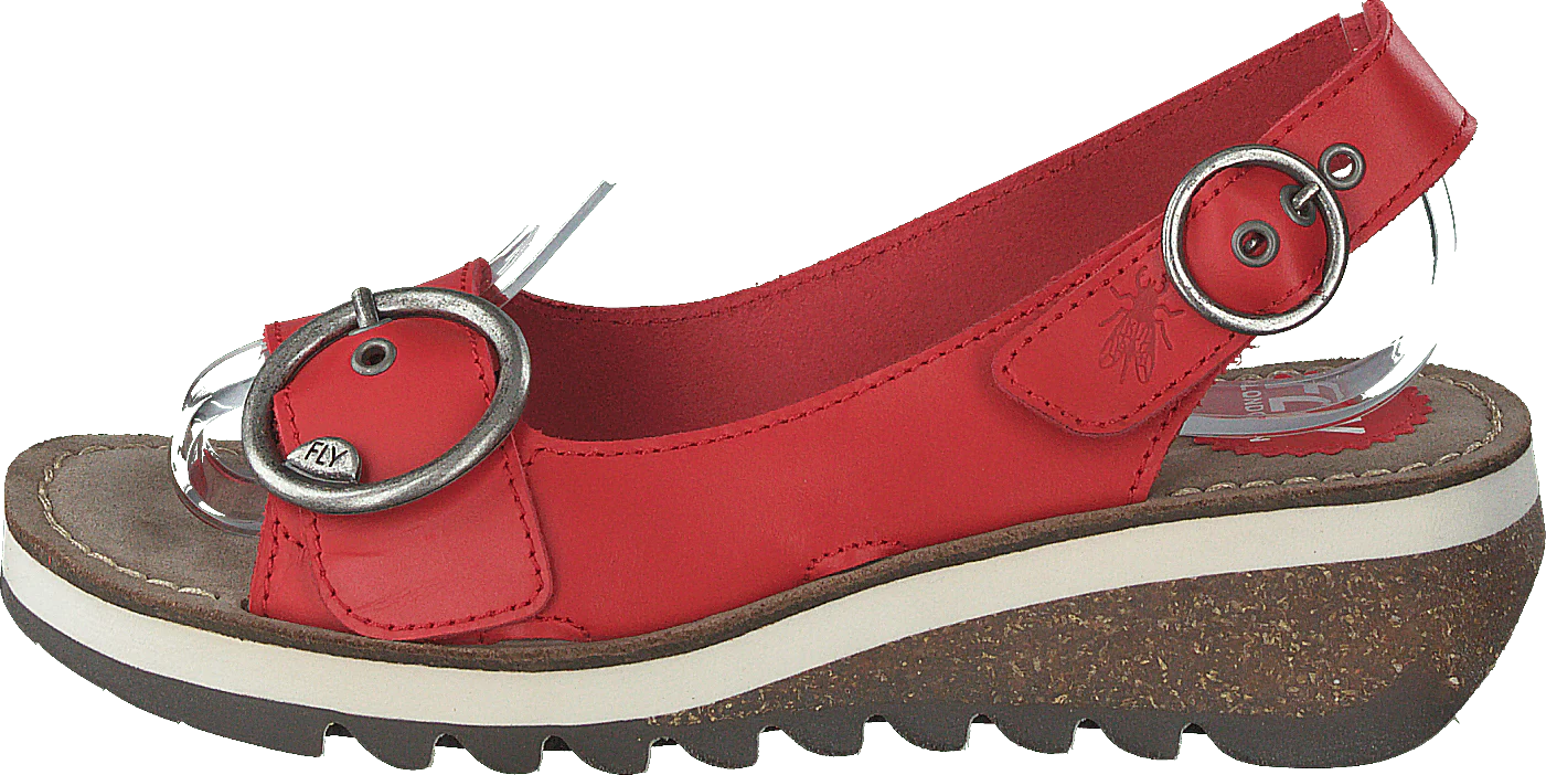 Tram 2 Bridle-scarlet