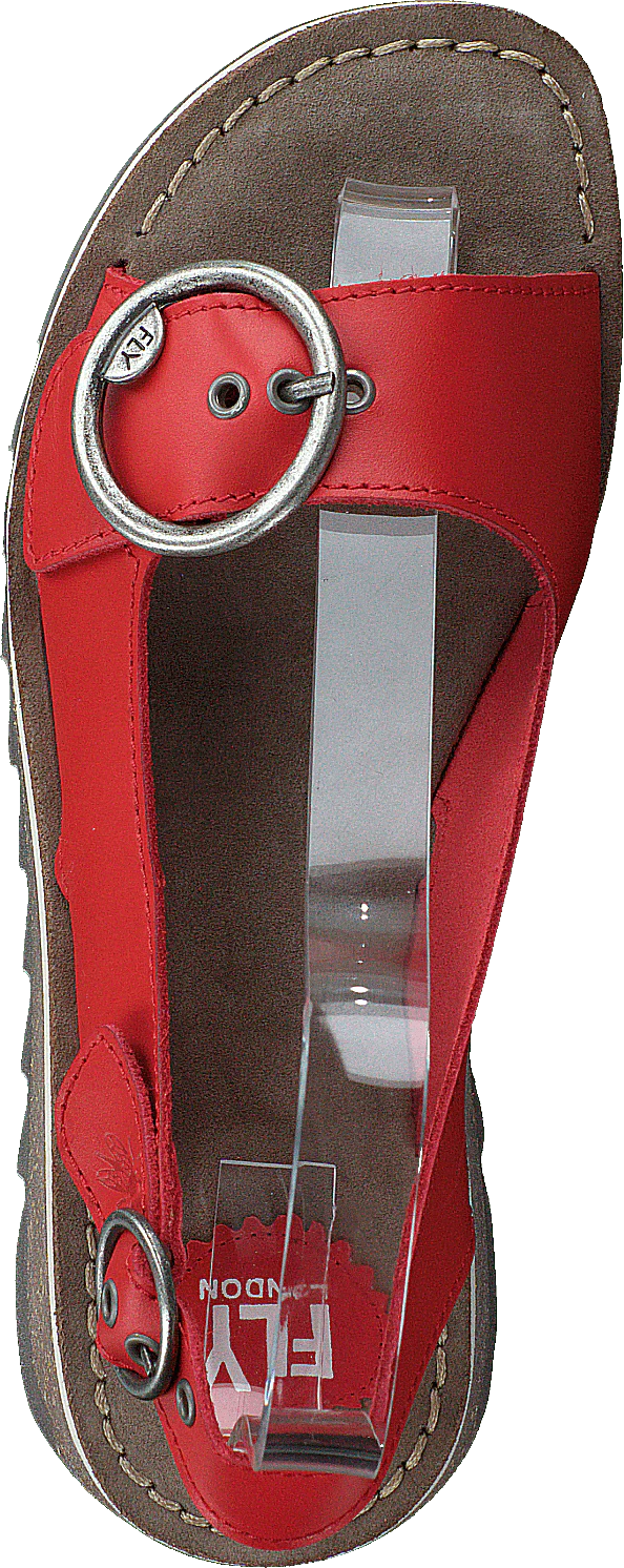 Tram 2 Bridle-scarlet - Image 6