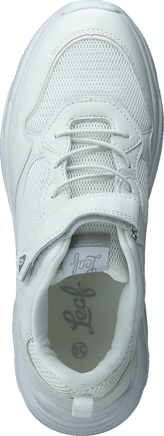Tuna White - Image 6