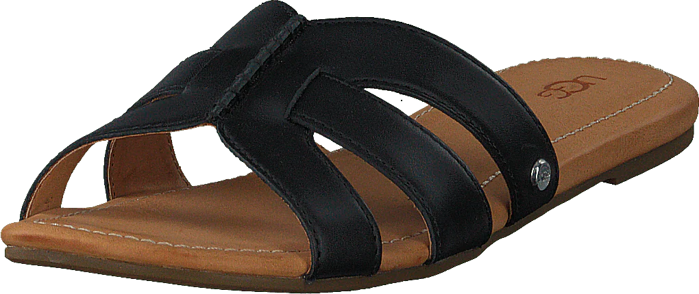 Teague Black - Image 3